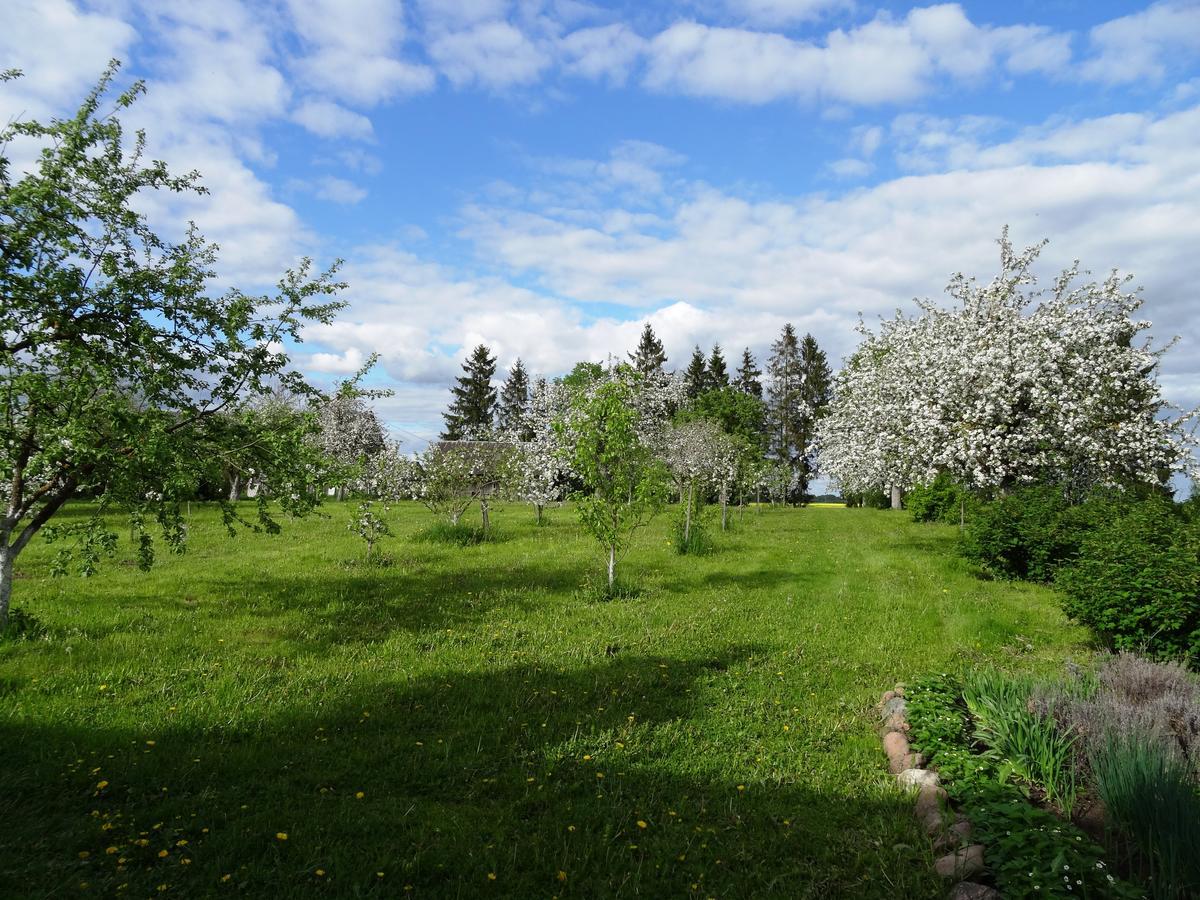 Raudonkalnis Pension Mankiskiai Buitenkant foto