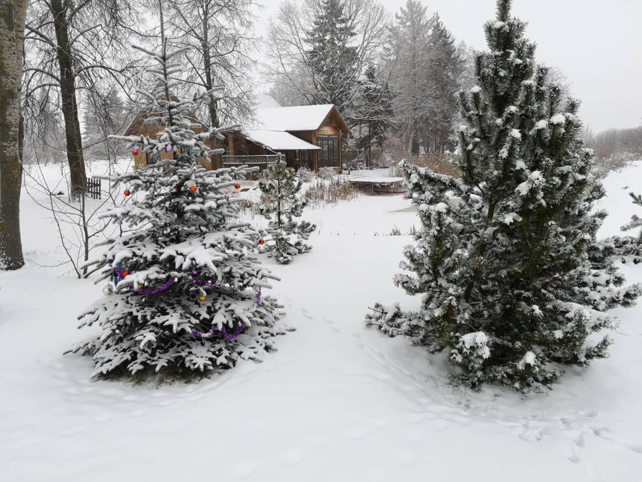 Raudonkalnis Pension Mankiskiai Buitenkant foto